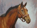 Commissioned oil painting of a horse named Joan of Arc.